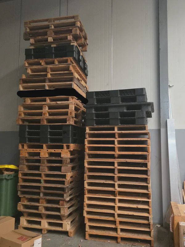 Free pallets - Archerfield