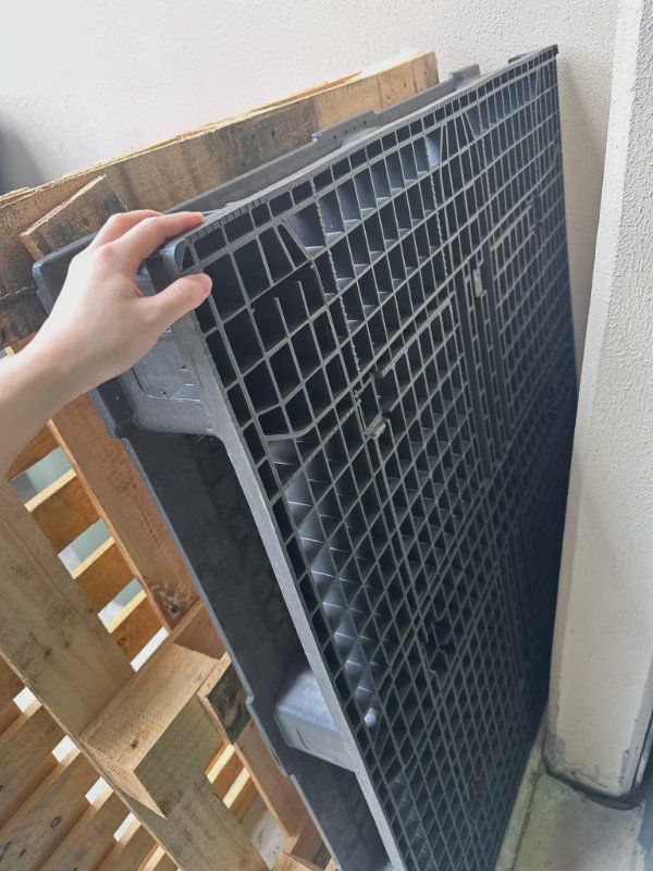 Free Pallets in Coopers Plains