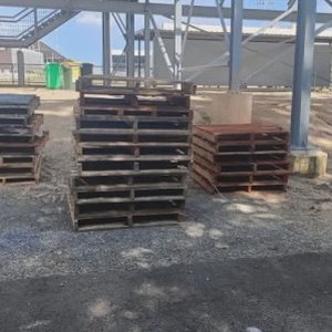 Free Pallets in Mt Gravatt