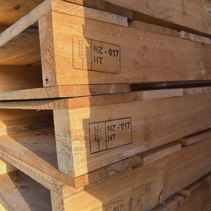 Free Pallets in Bulimba