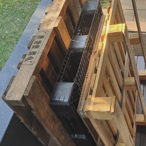 Free Pallets in Seven Hills