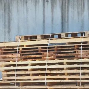 Free Pallets in Manly West