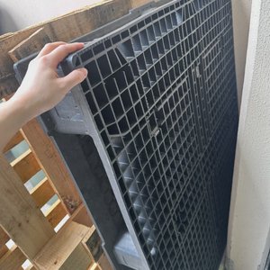 Free Pallets in Coopers Plains